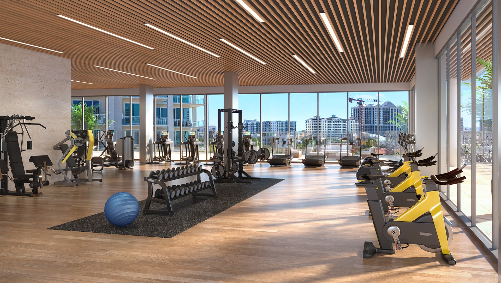 one park gym rendering