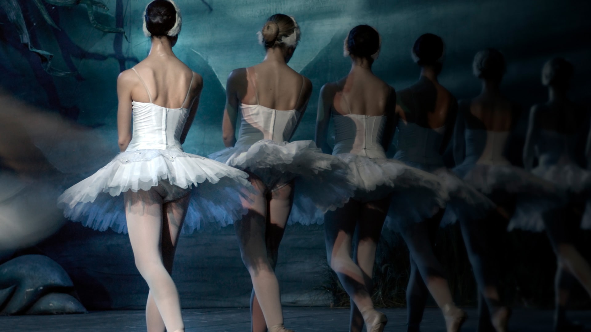 Sarasota arts and culture with the ballet