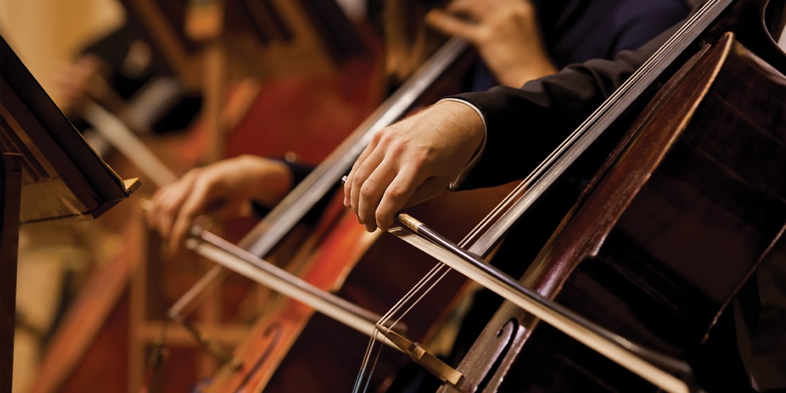 Downtown Sarasota Orchestra